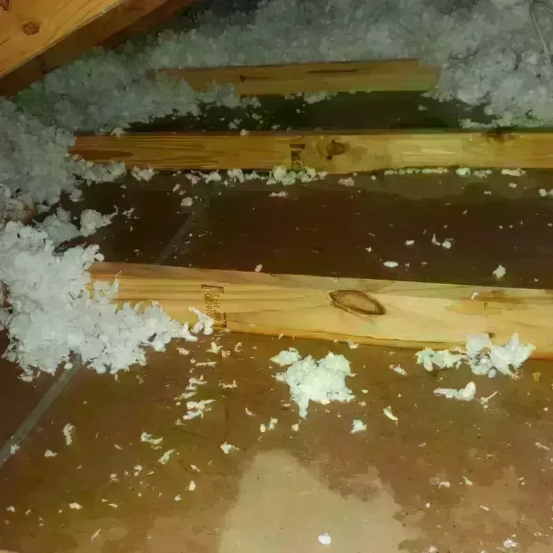 Attic Water Damage in Holliston, MA